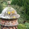 TM Roofing work