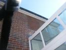 TM Roofing work